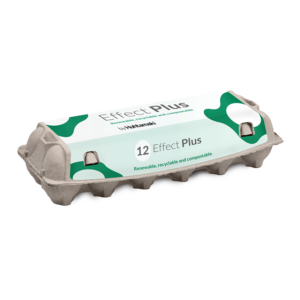 Effect Plus 12
