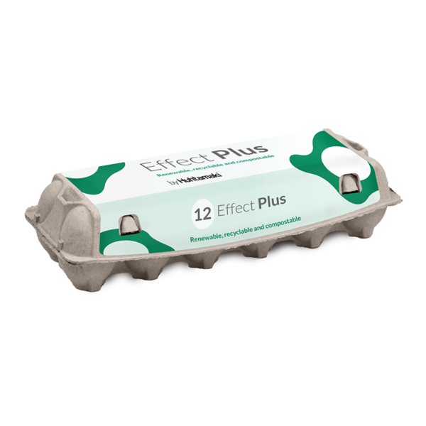 Effect Plus 12