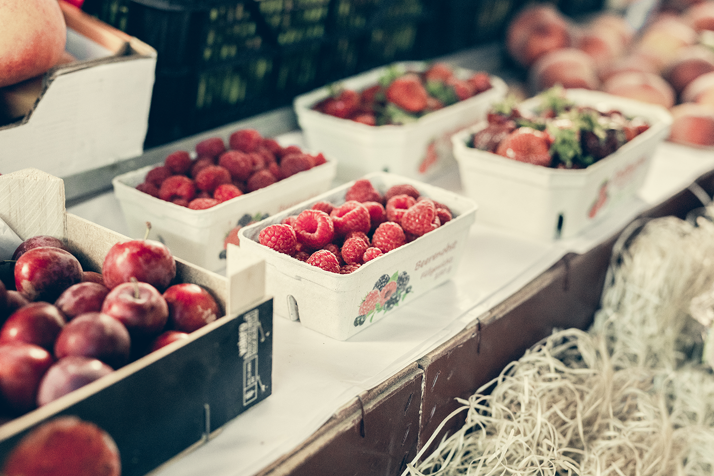 Fruit Packaging